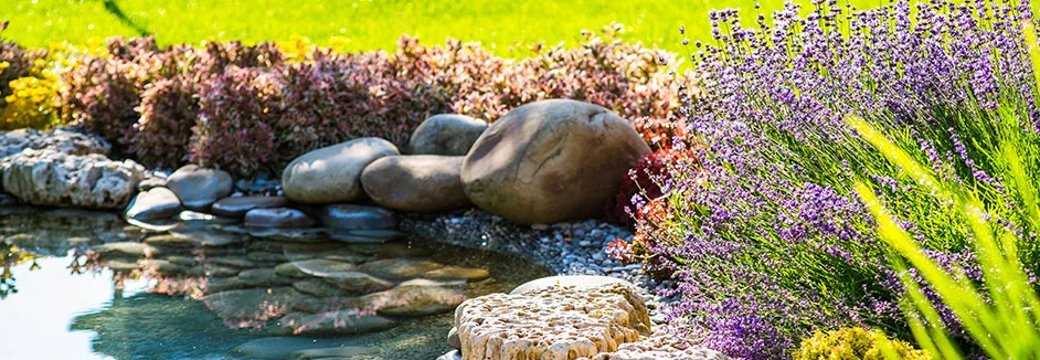 Gartenteich mit Steinen und Lavendel
